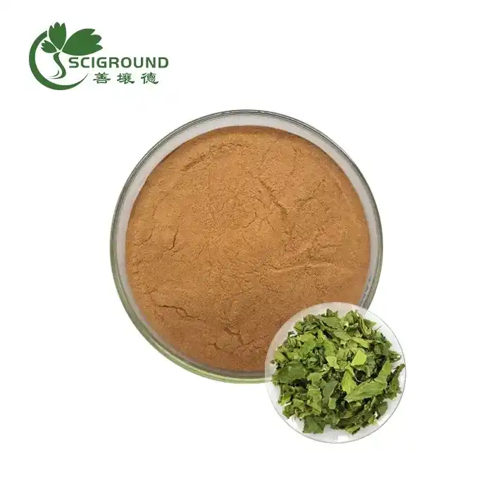 Mulberry Leaves Extract Powder
